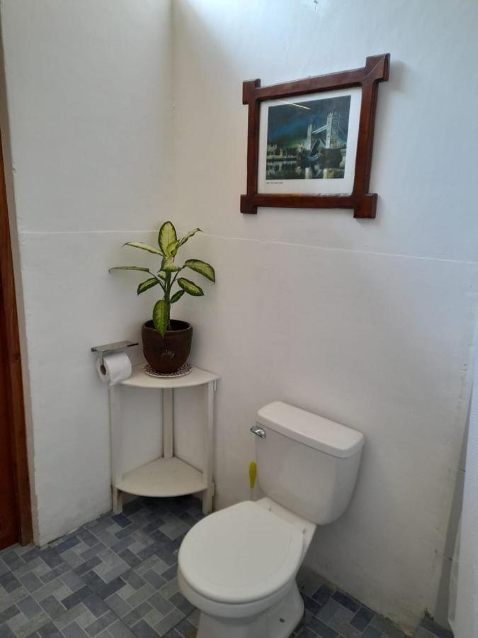 Casa Yoly Hostel Granada Ngoại thất bức ảnh